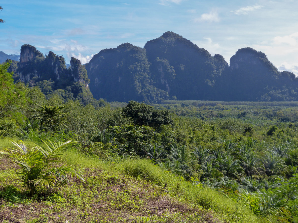 Thailand #5 - Dschungel-Abenteuer und Elefanten im Khao Sok - IRIS ...